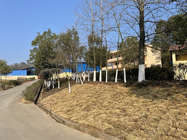 公司環境