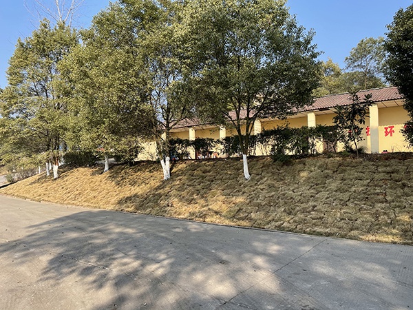 公司環境